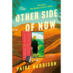 The Other Side of Now By Paige Harbison