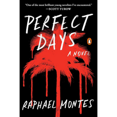 Perfect Days By Raphael Montes