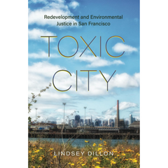 Toxic City By Lindsey Dillon