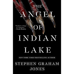 The Angel of Indian Lake By Stephen Graham Jones