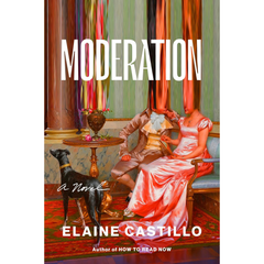 Moderation By Elaine Castillo
