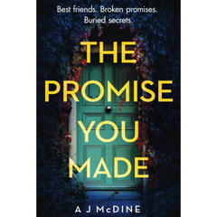 The Promise You Made By A.J. McDine