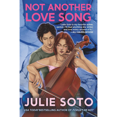Not Another Love Song By Julie Soto