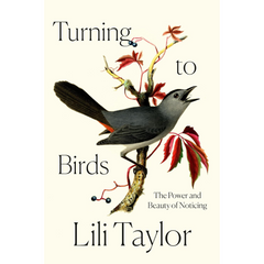 Turning to Birds: The Power and Beauty of Noticing By Lili Taylor