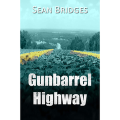 Gunbarrel Highway By Sean Bridges