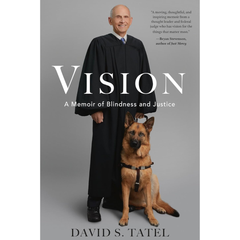 Vision By David S. Tatel