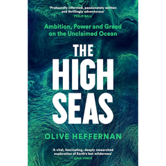 The High Seas By Olive Heffernan