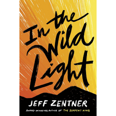 In the Wild Light By Jeff Zentner