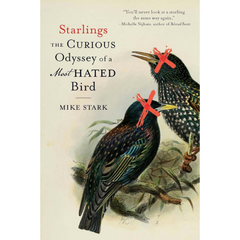Starlings: The Curious Odyssey of a Most Hated Bird By Mike Stark