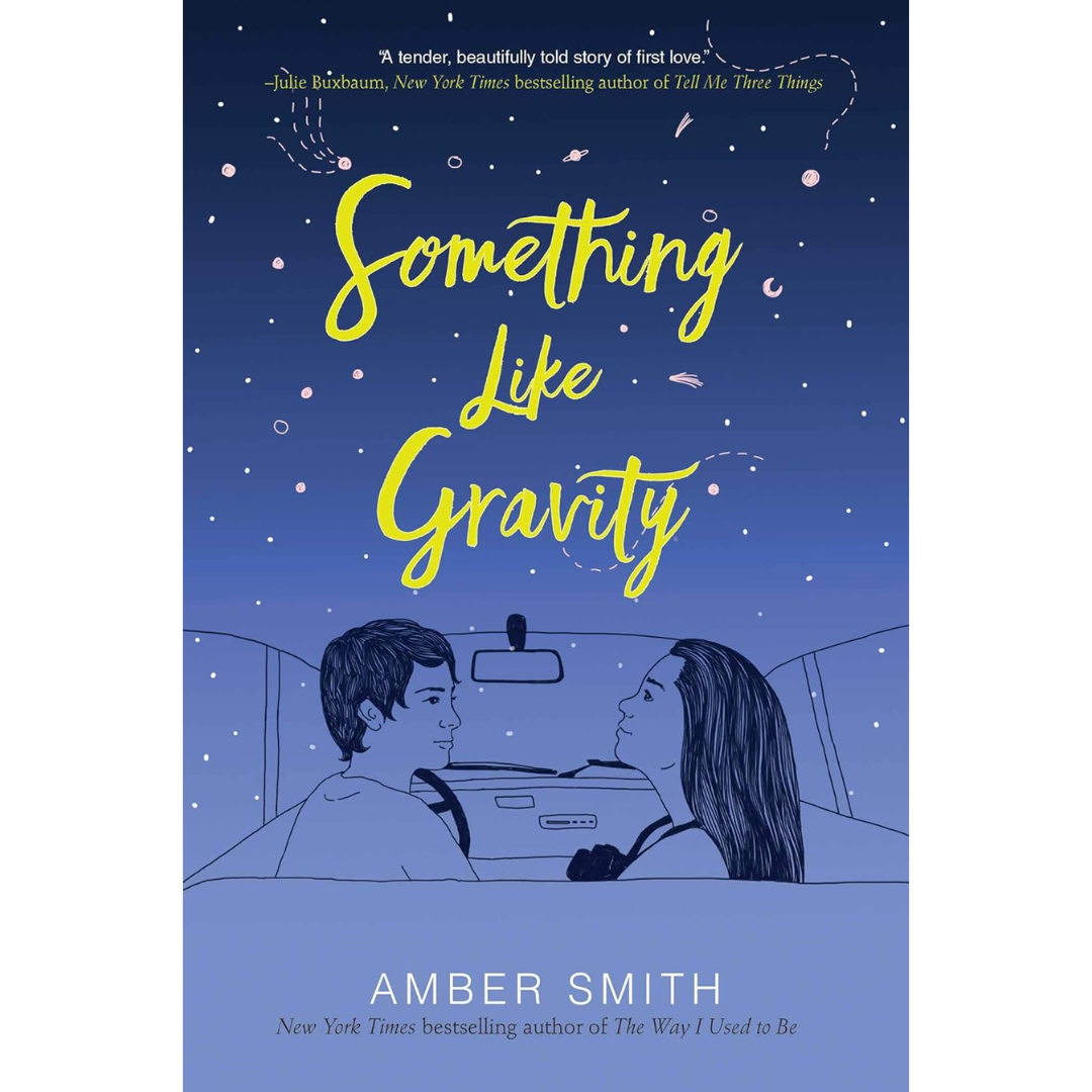 Something Like Gravity By Amber Smith