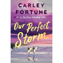 Our Perfect Storm By Carley Fortune