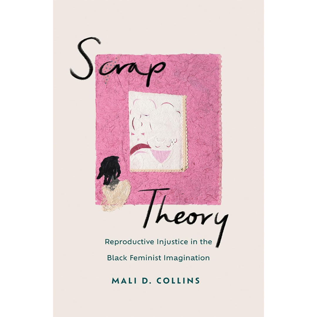 Scrap Theory: Reproductive Injustice in the Black Feminist Imagination By Mali D. Collins