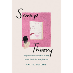 Scrap Theory: Reproductive Injustice in the Black Feminist Imagination By Mali D. Collins