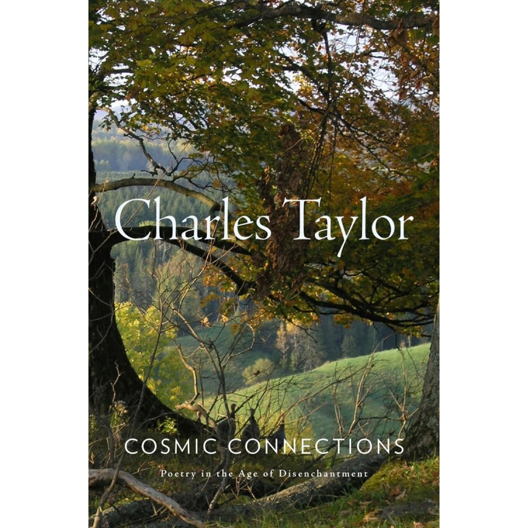 Cosmic Connections By Charles Margrave Taylor