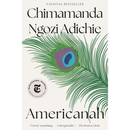 Americanah By Chimamanda Ngozi Adichie