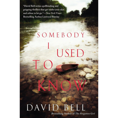 Somebody I Used to Know By David Bell