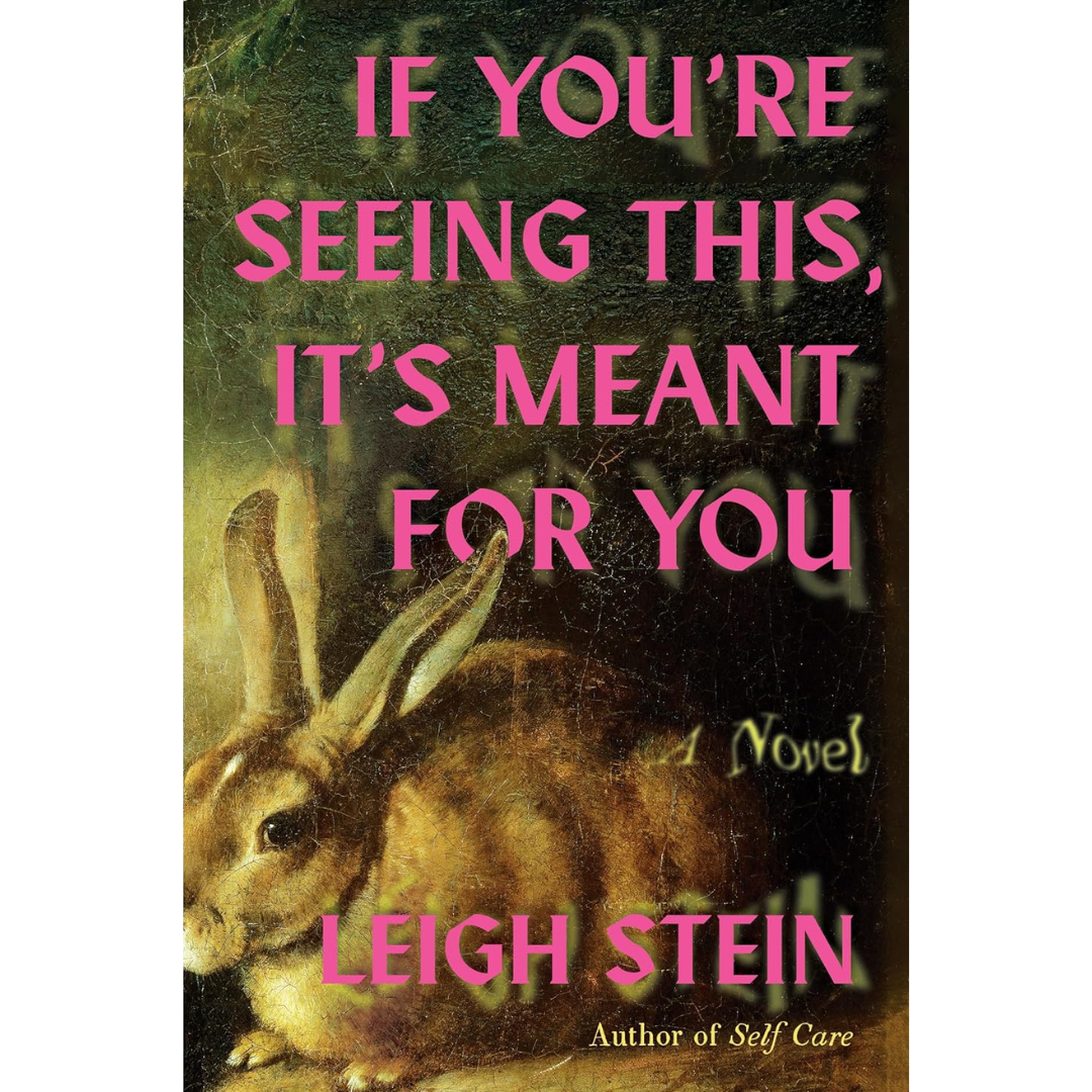 If You're Seeing This, It's Meant for You By Leigh Stein