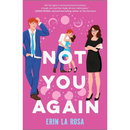 Not You Again By Erin La Rosa