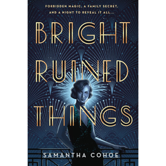 Bright Ruined Things By Samantha Cohoe