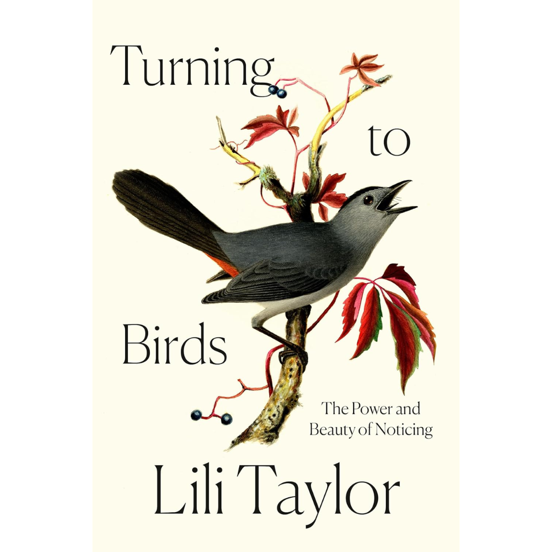 Turning to Birds: The Power and Beauty of Noticing By Lili Taylor