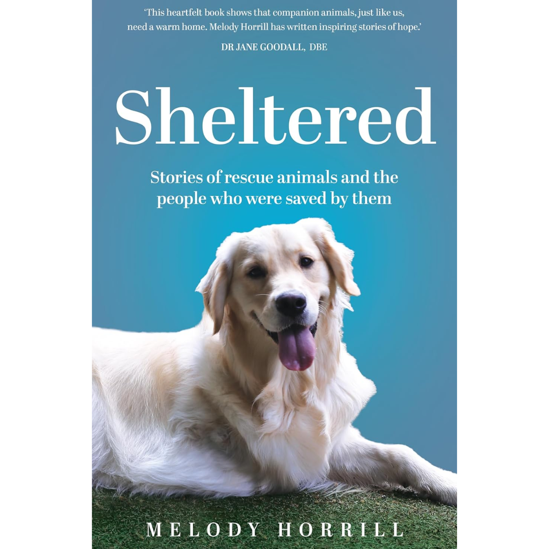 Sheltered By Melody Horrill