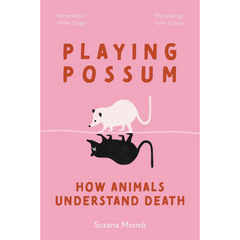 Playing Possum By Susana Monsó