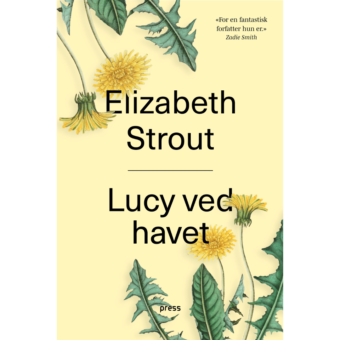 Lucy ved havet By Elizabeth Strout