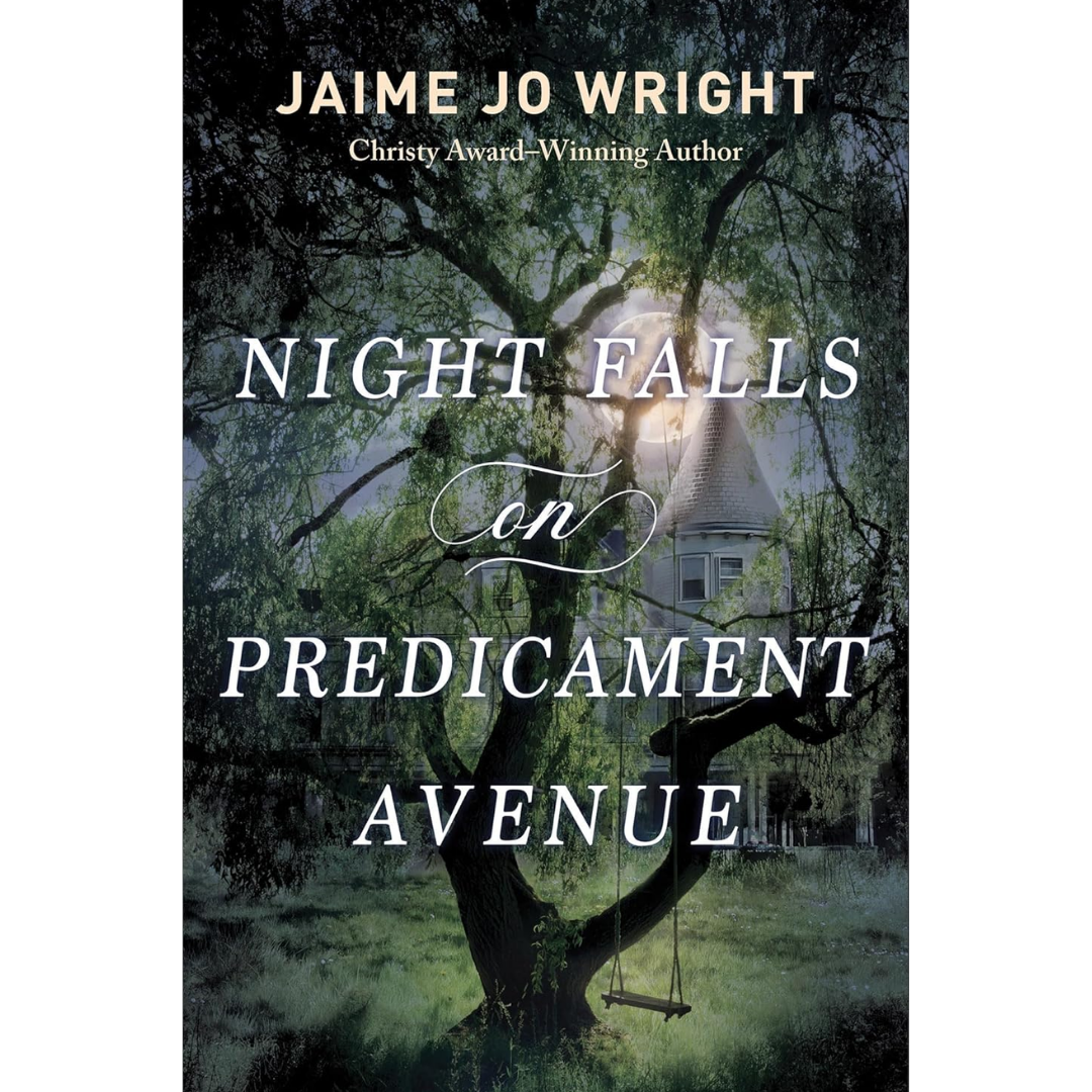 Night Falls on Predicament Avenue By Jaime Jo Wright