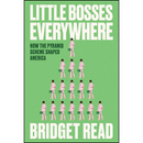 Little Bosses Everywhere: How the Pyramid Scheme Shaped America By Bridget Read
