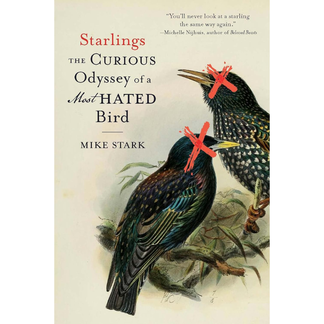 Starlings: The Curious Odyssey of a Most Hated Bird By Mike Stark