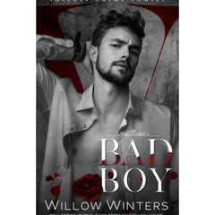 Bad Boy By Willow Winters