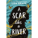 A Scar like a River By Lisa Graff